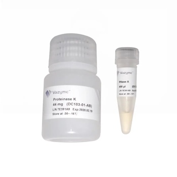 FastPure Bacteria DNA Isolation Mini Kit