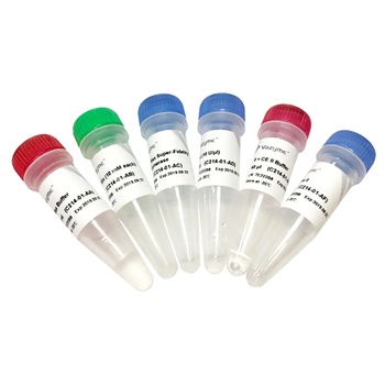 Mut Express II Fast Mutagenesis Kit V2