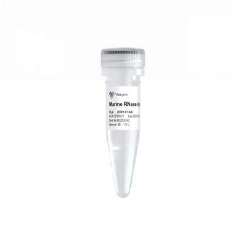 Vazyme - Murine RNase Inhibitor