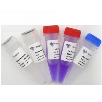 HiScript II One Step RT-PCR Kit (Dye Plus)