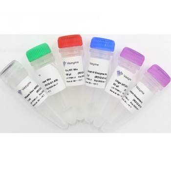 HiScript III 1st Strand cDNA Synthesis Kit (+gDNA wiper)