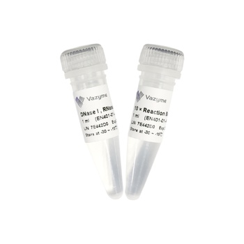 Vazyme - DNase I, RNase-free