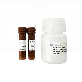 Vazyme - Annexin V-FITC/PI Apoptosis Detection Kit
