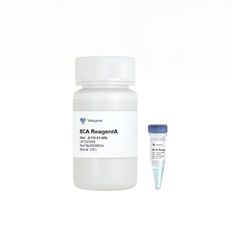 BCA Protein Quantification Kit