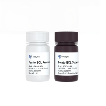 SuperFemto ECL Chemiluminescence Kit