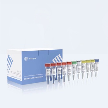 EpiArt DNA Enzymatic Methylation Kit
