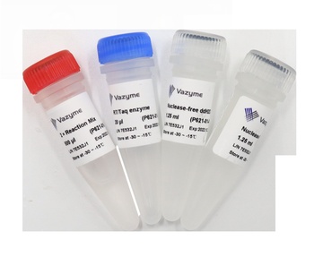 Vazyme - Single Cell Sequence Specific Amplification Kit