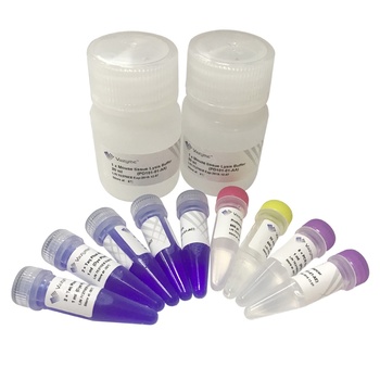 One Step Mouse Genotyping Kit