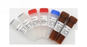 Vazyme - HiScript II One Step qRT-PCR Probe Kit