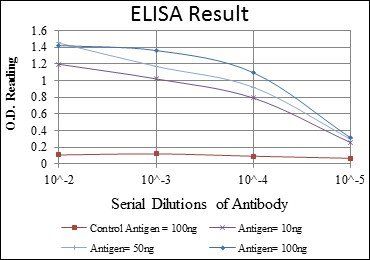 ABCG2 Antibody