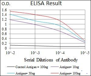 ACLY Antibody