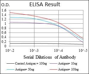 ACP5 Antibody