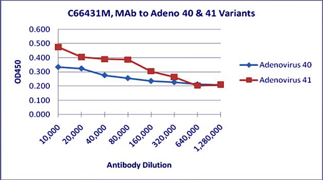 Adenovirus 40 & 41 Antibody