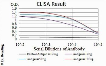 AIM2 Antibody