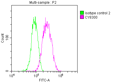 AKR1C3 Recombinant Monoclonal Antibody