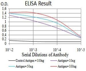 AKT1 Antibody