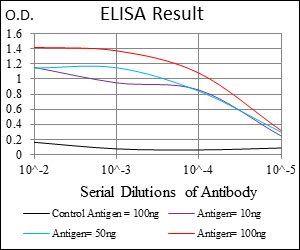 ALCAM Antibody