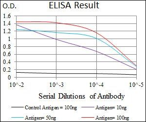 ALDH2 Antibody