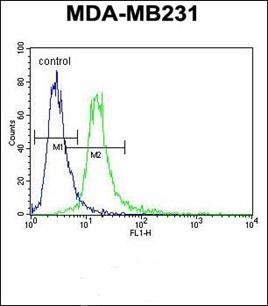 ANKRD13C antibody