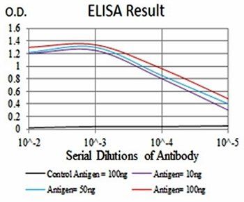 ANXA5 Antibody