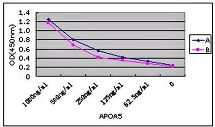 APOA5 (Pair) Antibody