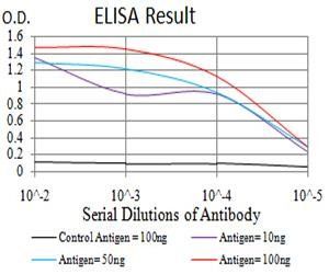 ARF1 Antibody