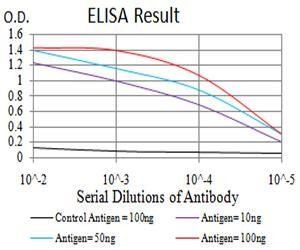 ARF1 Antibody