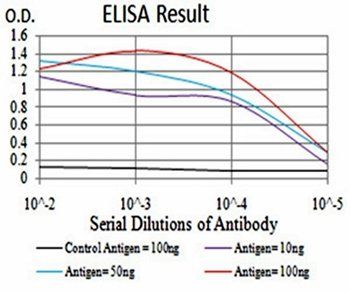 ATF3 Antibody