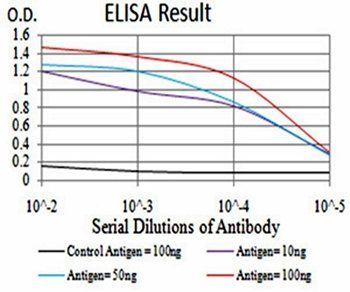 ATG16L1 Antibody