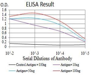 B3GAT1 Antibody