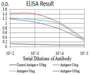 B3GAT1 Antibody