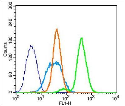 BCL2 (phospho-Thr129) antibody