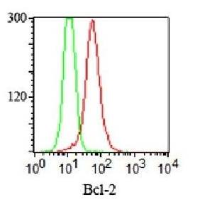 Bcl-2 (Apoptosis & Follicular Lymphoma Marker) Antibody