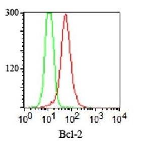 BCL2 antibody