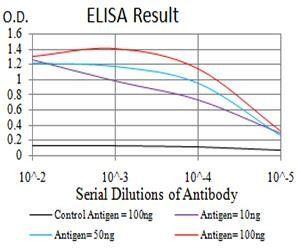 BIN1 Antibody