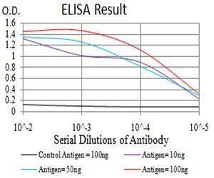 BIN1 Antibody