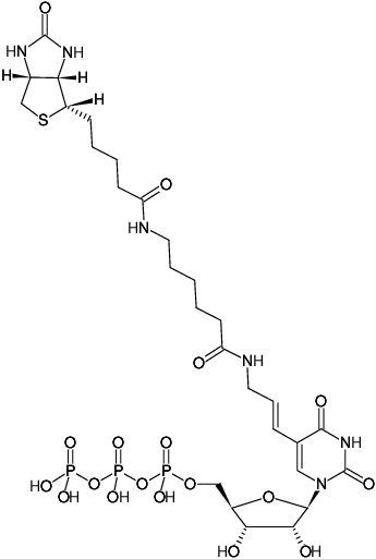 Biotin-11-UTP (Biotin)