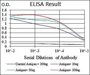 BMI1 Antibody