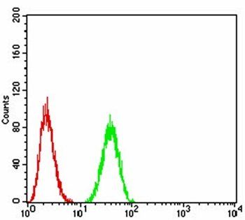 BMP2 Antibody