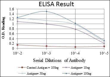 BMPR2 Antibody