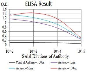 BNIP3 Antibody