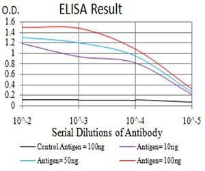 BNIP3 Antibody