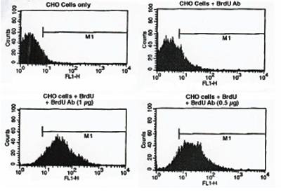 Mouse anti BrdU (bromodeoxyuridine), conjugated with FITC