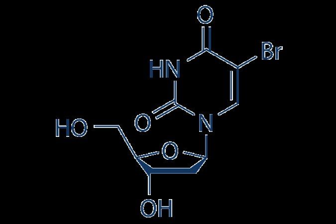 Bromodeoxyuridine (BrdU)