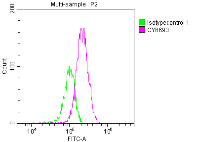 C3 Recombinant Monoclonal Antibody