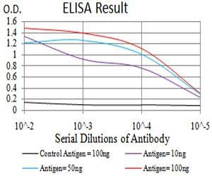 C3C Antibody