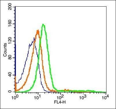 C9orf71 Rabbit Polyclonal Antibody