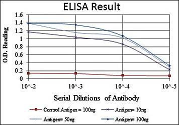 CASP8 Antibody