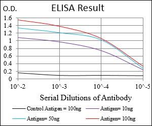 CCNE1 Antibody