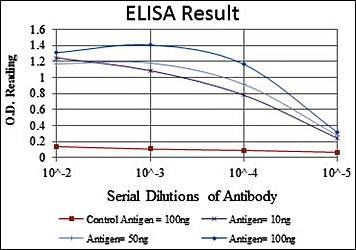 CCT2 Antibody